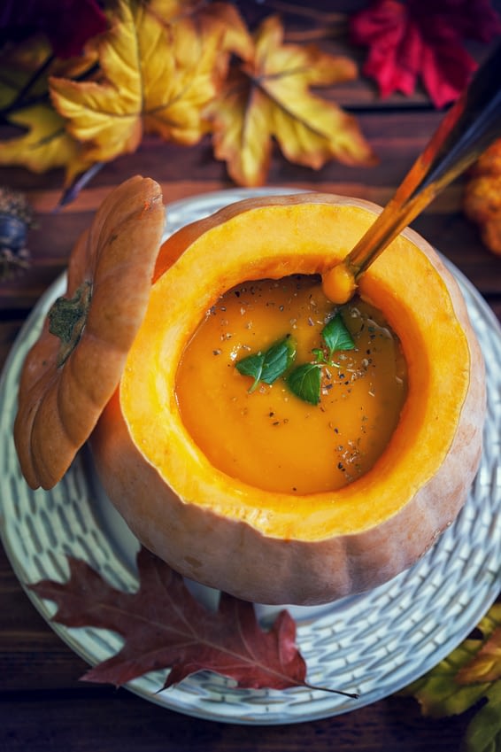 Recipe: Curried Pumpkin Soup - Dr Gary S. Gruber Family and ...