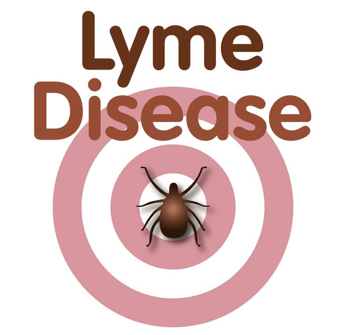 Removing Obstacles as Treatment for Chronic Lyme Disease